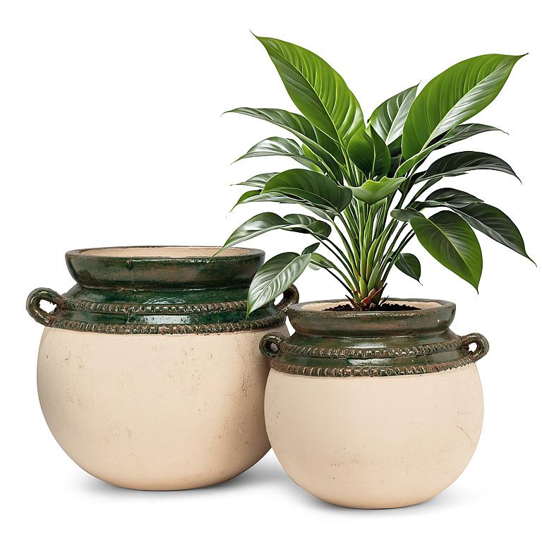 Terracotta Planter