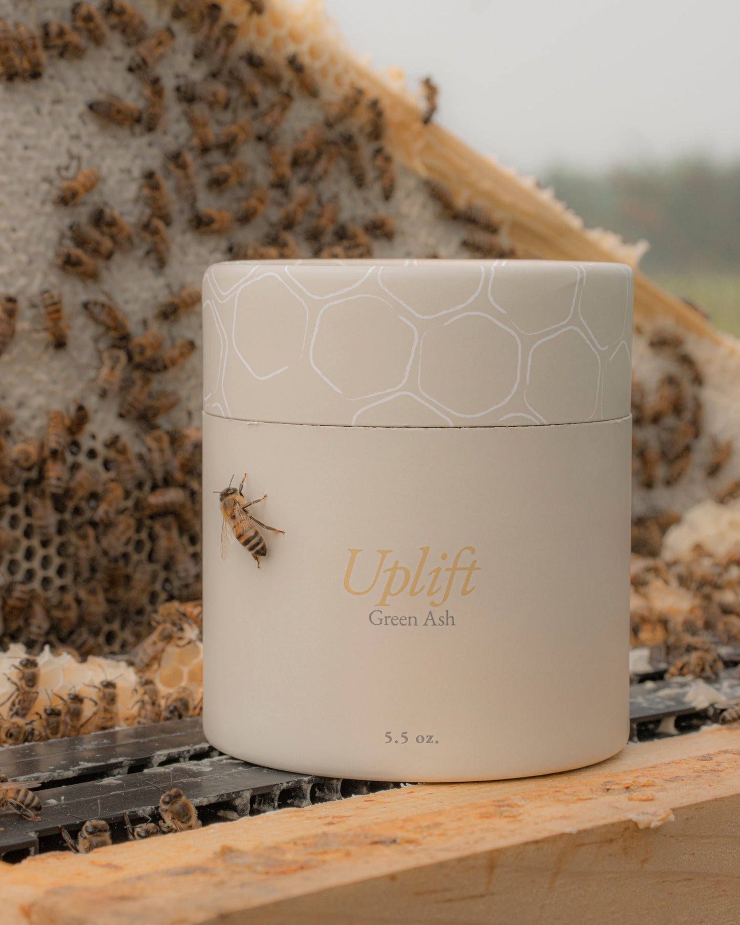 The Uplift Candle Green Ash