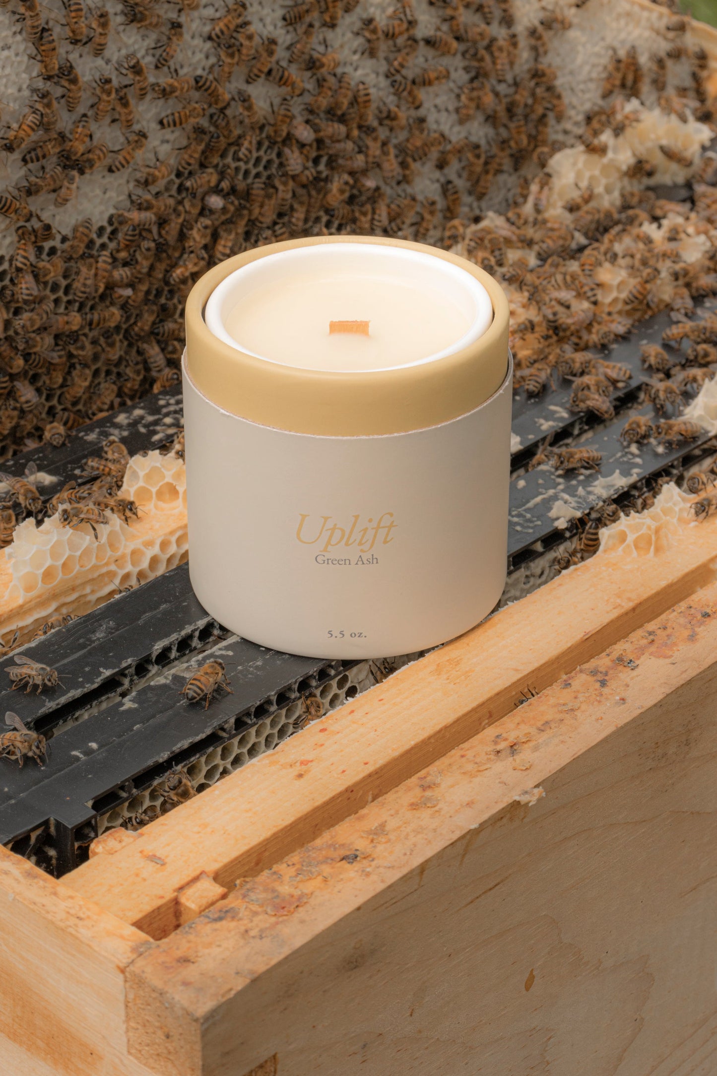 The Uplift Candle Green Ash