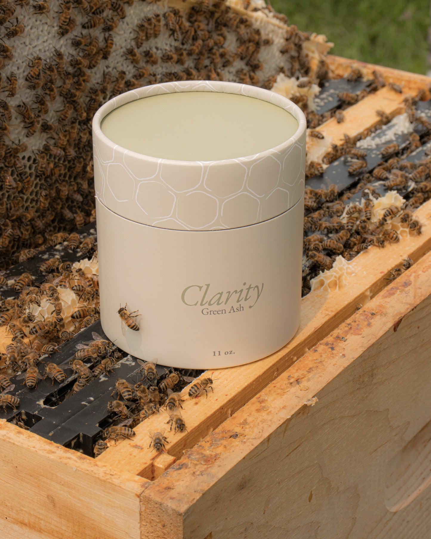 The Clarity Candle Green Ash