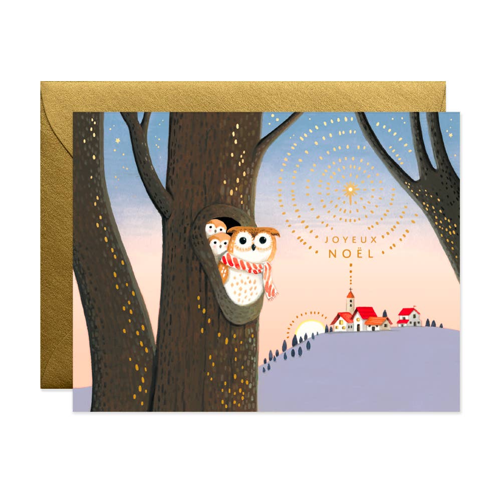 Owls Noel Greeting Card