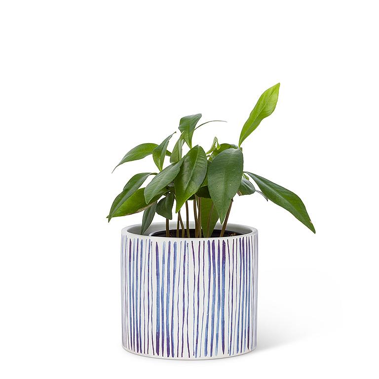 Shibori Line Small Planter