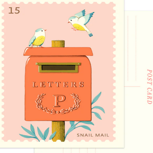 Mailbox Birds Post Card